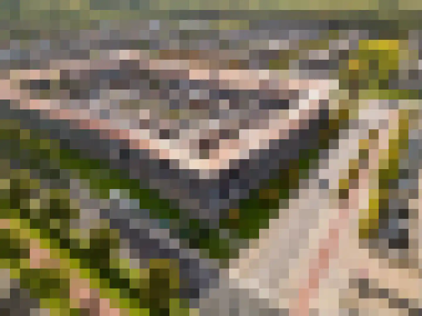 Gangboord 15 Almere thumbnail 48