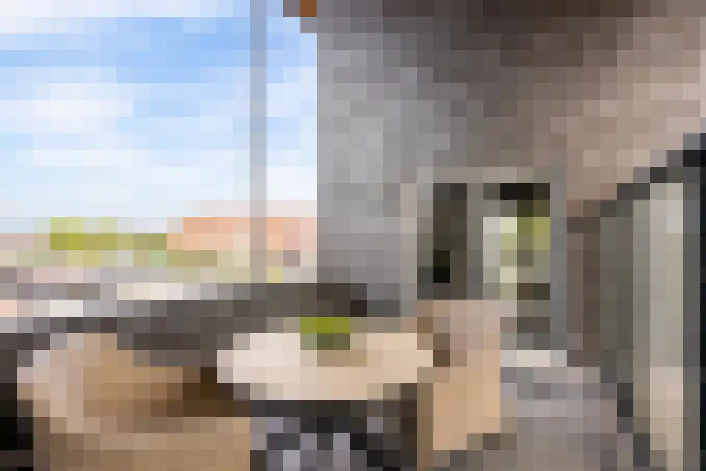Gangboord 15 Almere thumbnail 7