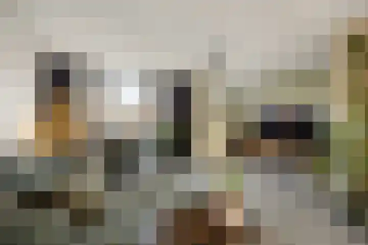 Gangboord 15 Maasbracht thumbnail 11