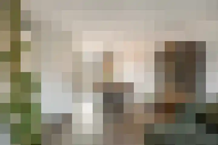 Gangboord 15 Maasbracht thumbnail 13