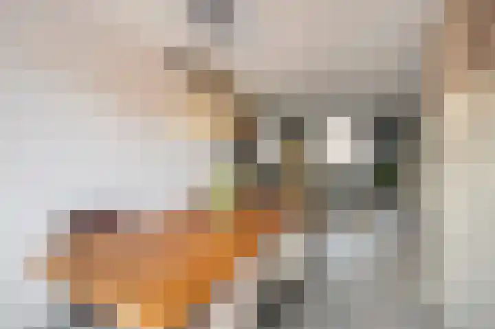 Gangboord 15 Maasbracht thumbnail 17