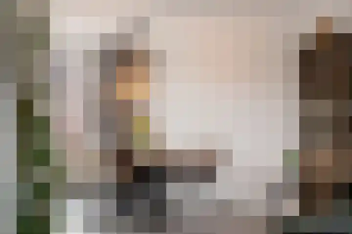 Gangboord 15 Maasbracht thumbnail 18
