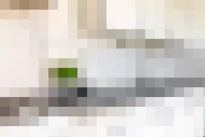 Gangboord 15 Maasbracht thumbnail 19