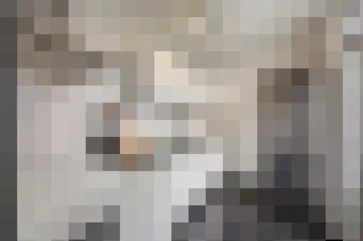 Gangboord 15 Maasbracht thumbnail 20