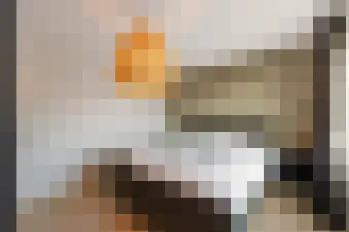 Gangboord 15 Maasbracht thumbnail 27