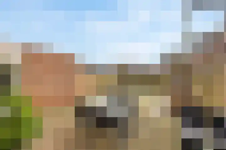 Gangboord 15 Maasbracht thumbnail 33