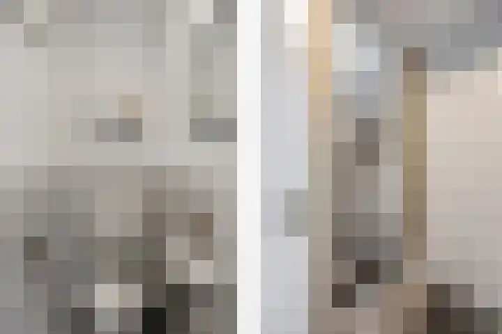 Gangboord 15 Maasbracht thumbnail 8