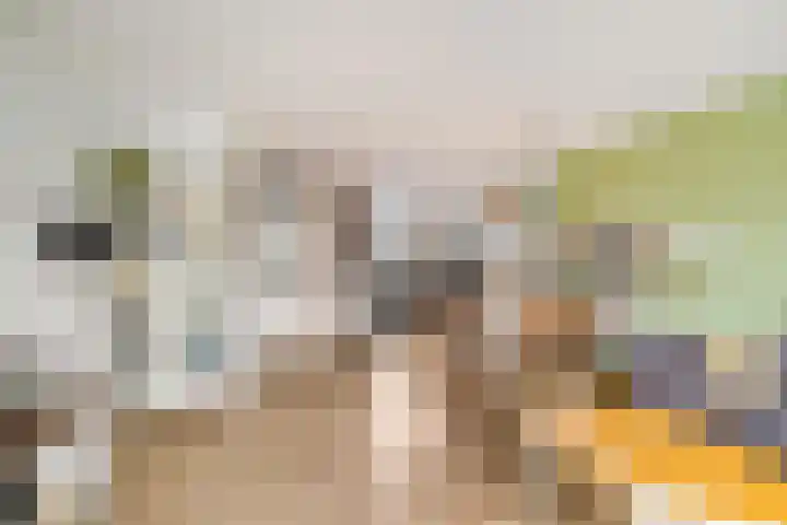 Gangboord 19 Groningen thumbnail 11