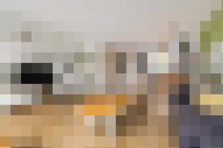 Gangboord 19 Groningen thumbnail 12
