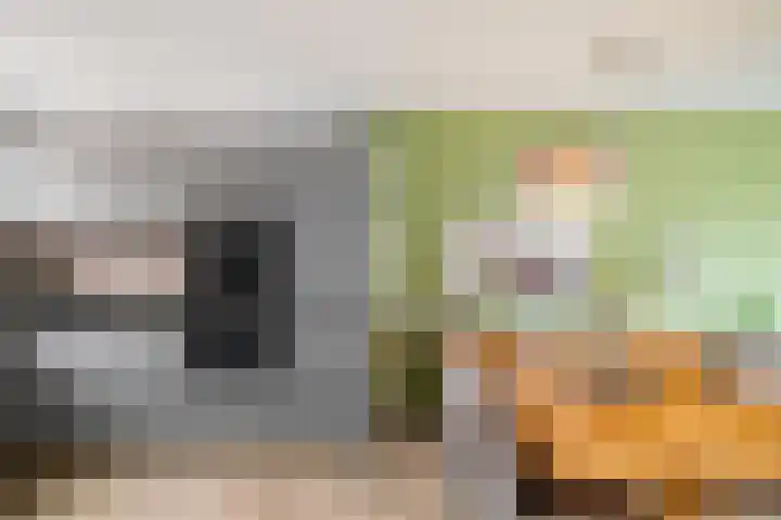 Gangboord 19 Groningen thumbnail 14