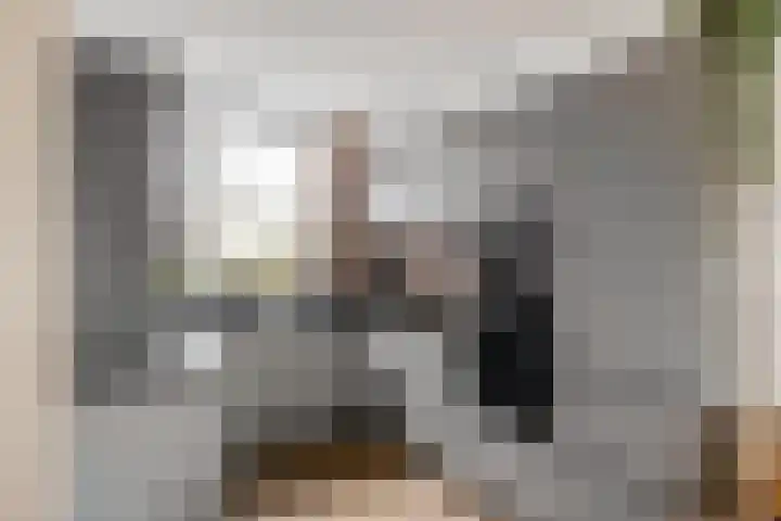Gangboord 19 Groningen thumbnail 16