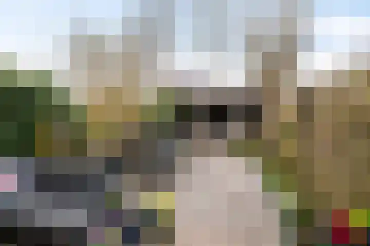 Gangboord 19 Groningen thumbnail 19