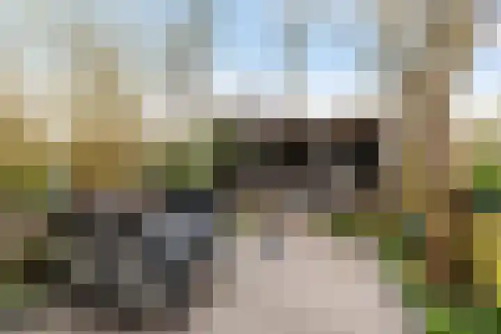 Gangboord 19 Groningen thumbnail 21