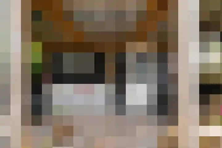 Gangboord 19 Groningen thumbnail 24