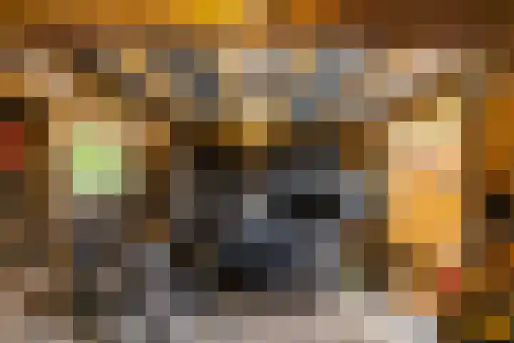 Gangboord 19 Groningen thumbnail 28