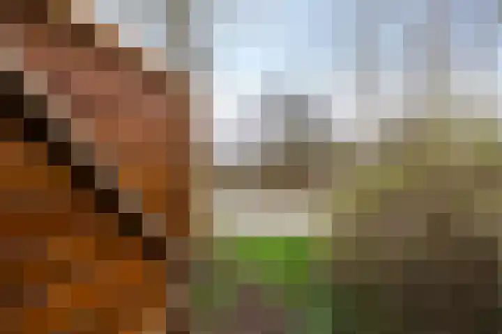 Gangboord 19 Groningen thumbnail 29