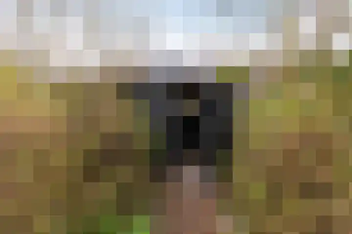 Gangboord 19 Groningen thumbnail 30