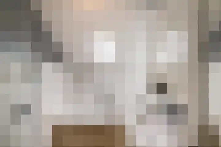 Gangboord 19 Groningen thumbnail 36