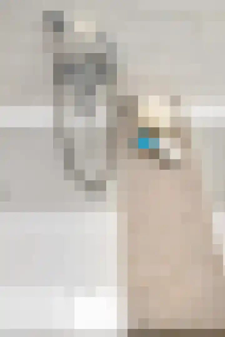 Gangboord 19 Groningen thumbnail 39