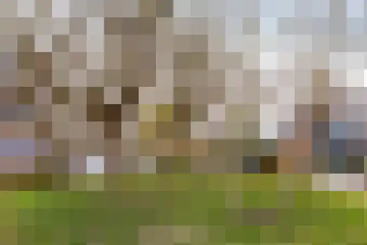 Gangboord 19 Groningen thumbnail 4