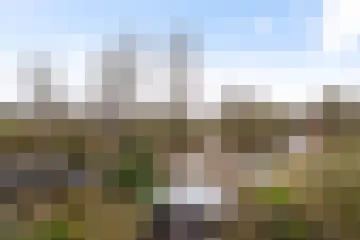 Gangboord 19 Groningen thumbnail 49