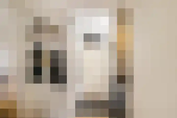 Gangboord 19 Groningen thumbnail 7