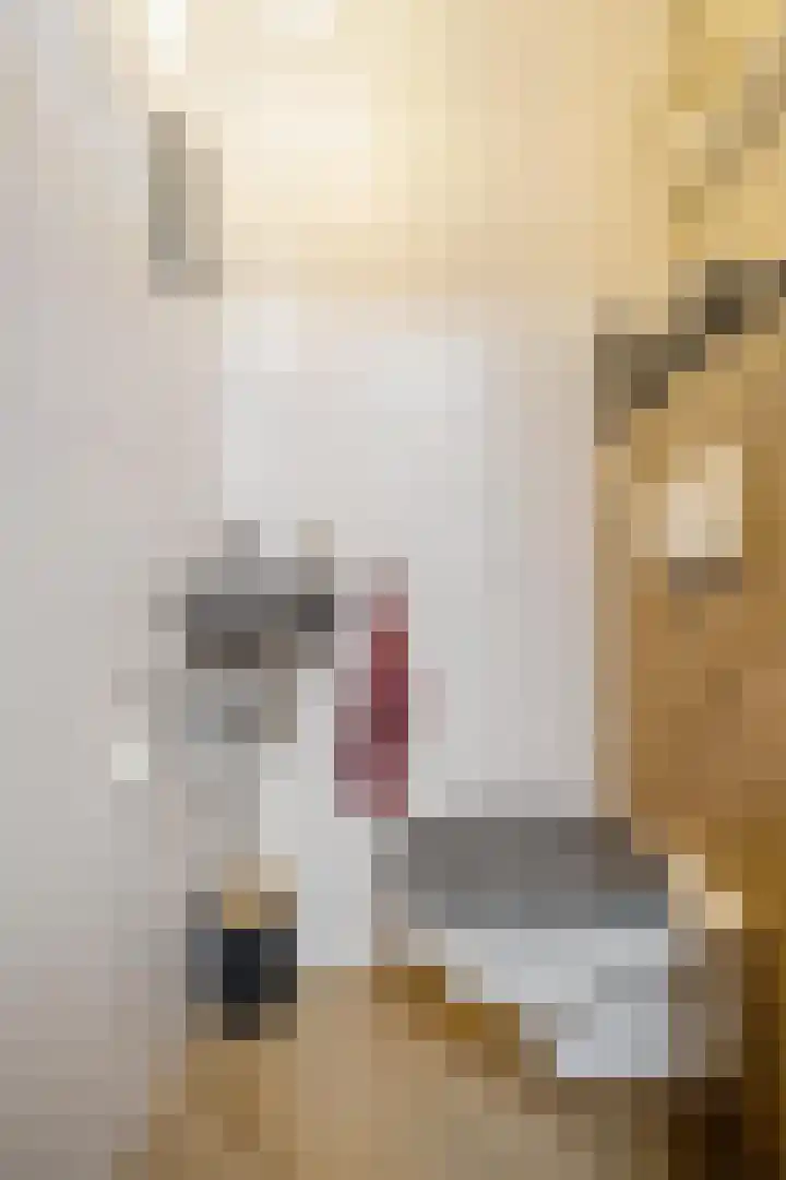 Gangboord 19 Groningen thumbnail 8