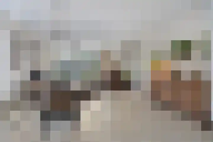 Gangboord 21 Groningen thumbnail 11
