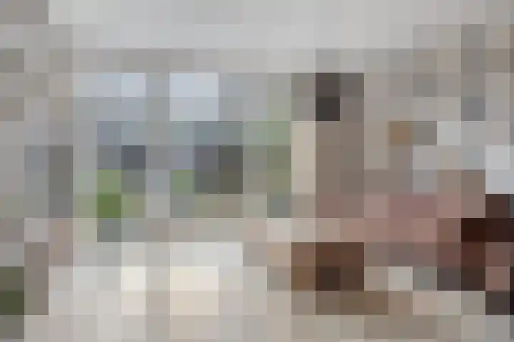 Gangboord 21 Groningen thumbnail 12