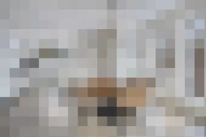 Gangboord 21 Groningen thumbnail 20