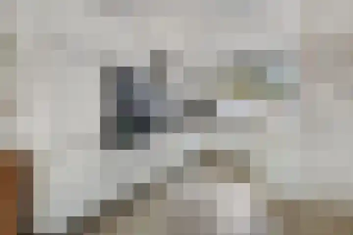 Gangboord 21 Groningen thumbnail 21