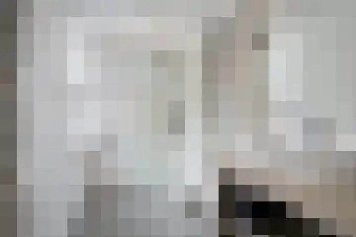 Gangboord 21 Groningen thumbnail 30