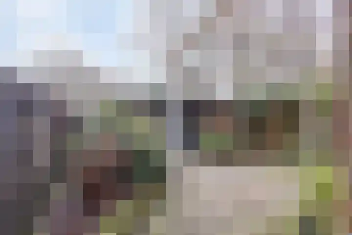 Gangboord 21 Groningen thumbnail 44