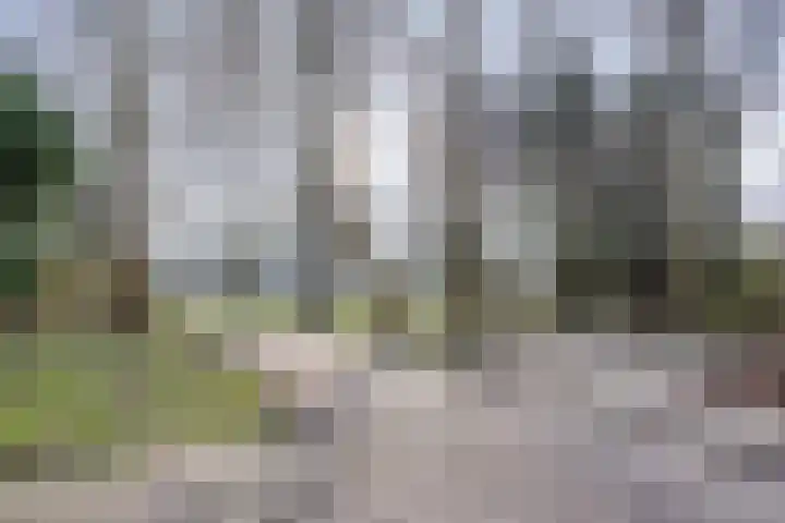 Gangboord 21 Groningen thumbnail 50