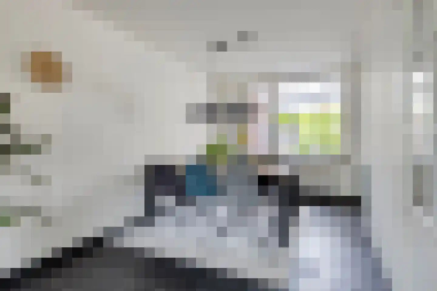 Gangboord 22 Maasbracht thumbnail 14