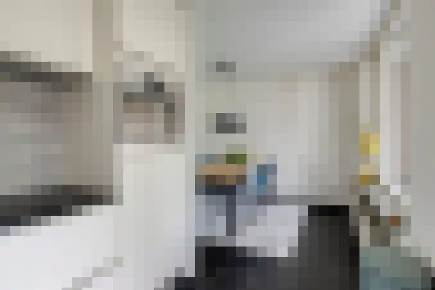 Gangboord 22 Maasbracht thumbnail 18