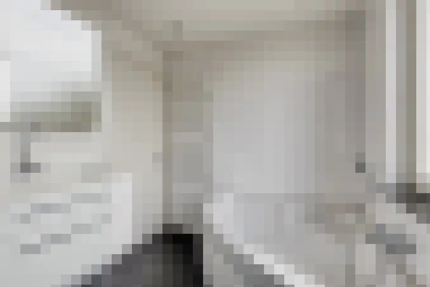 Gangboord 22 Maasbracht thumbnail 37