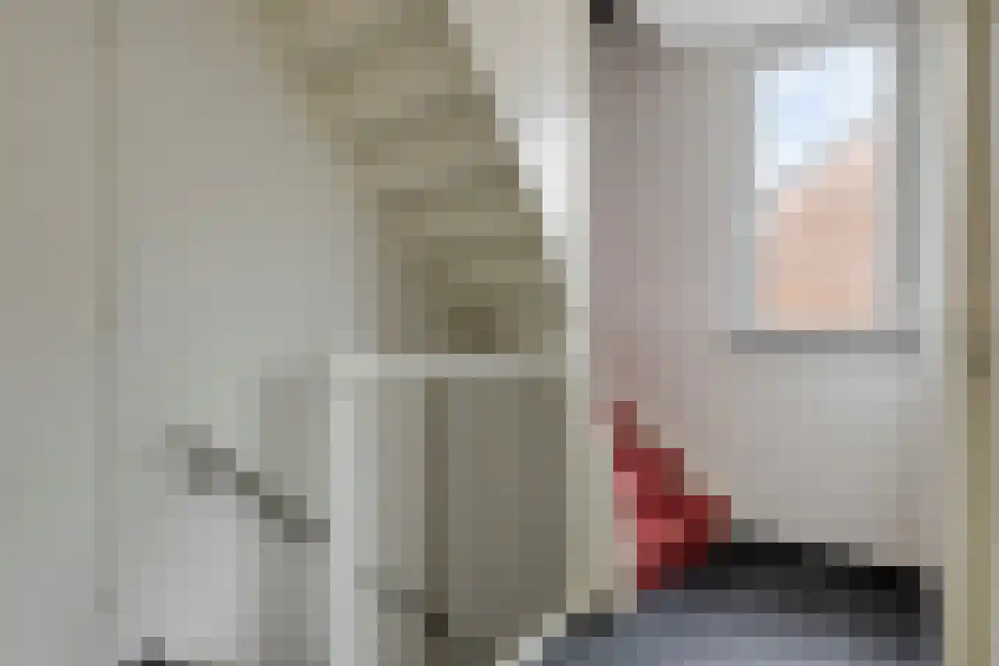 Gangboord 22 Maasbracht thumbnail 41