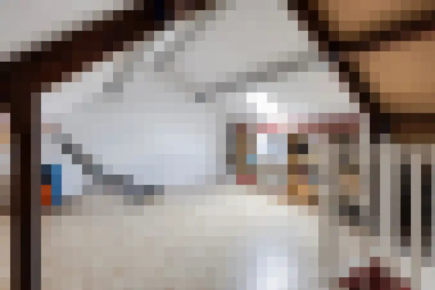 Gangboord 22 Maasbracht thumbnail 42