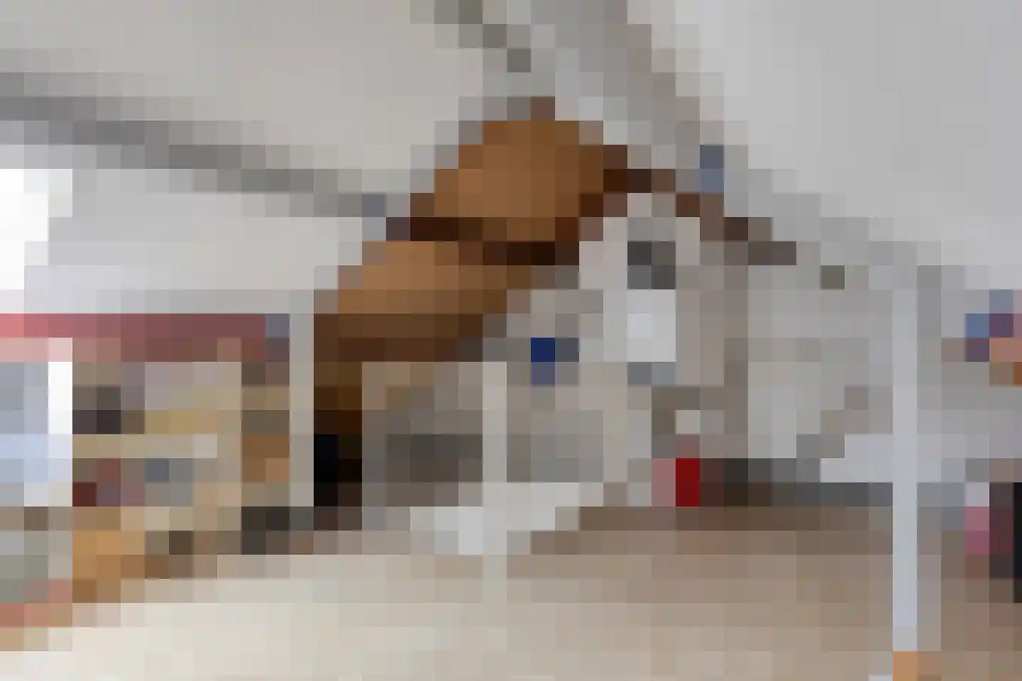 Gangboord 22 Maasbracht thumbnail 43