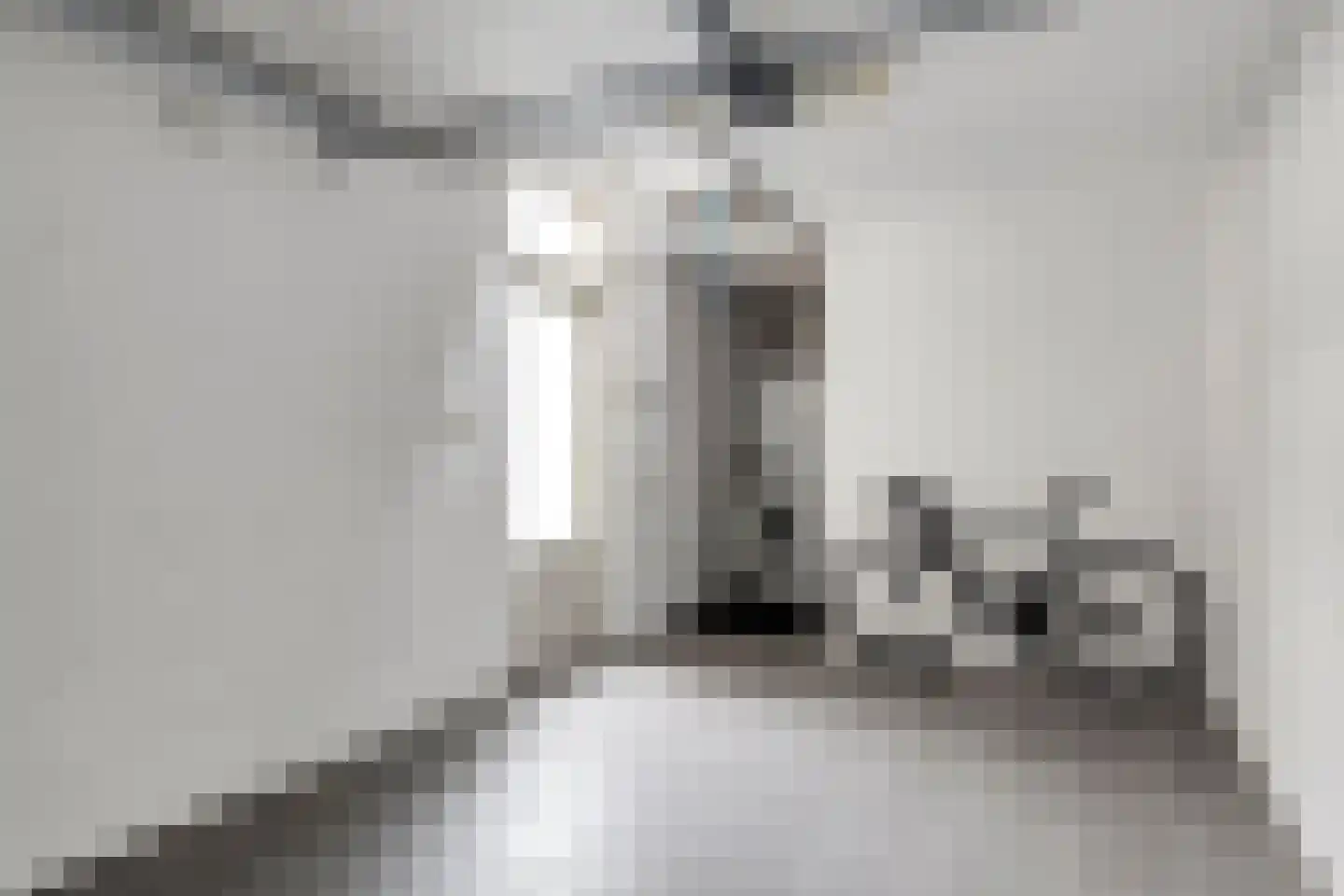 Gangboord 22 Maasbracht thumbnail 45