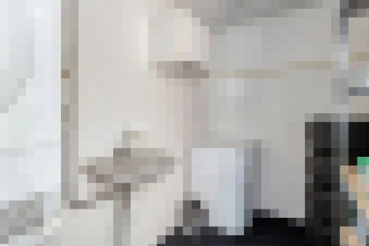 Gangboord 22 Maasbracht thumbnail 46