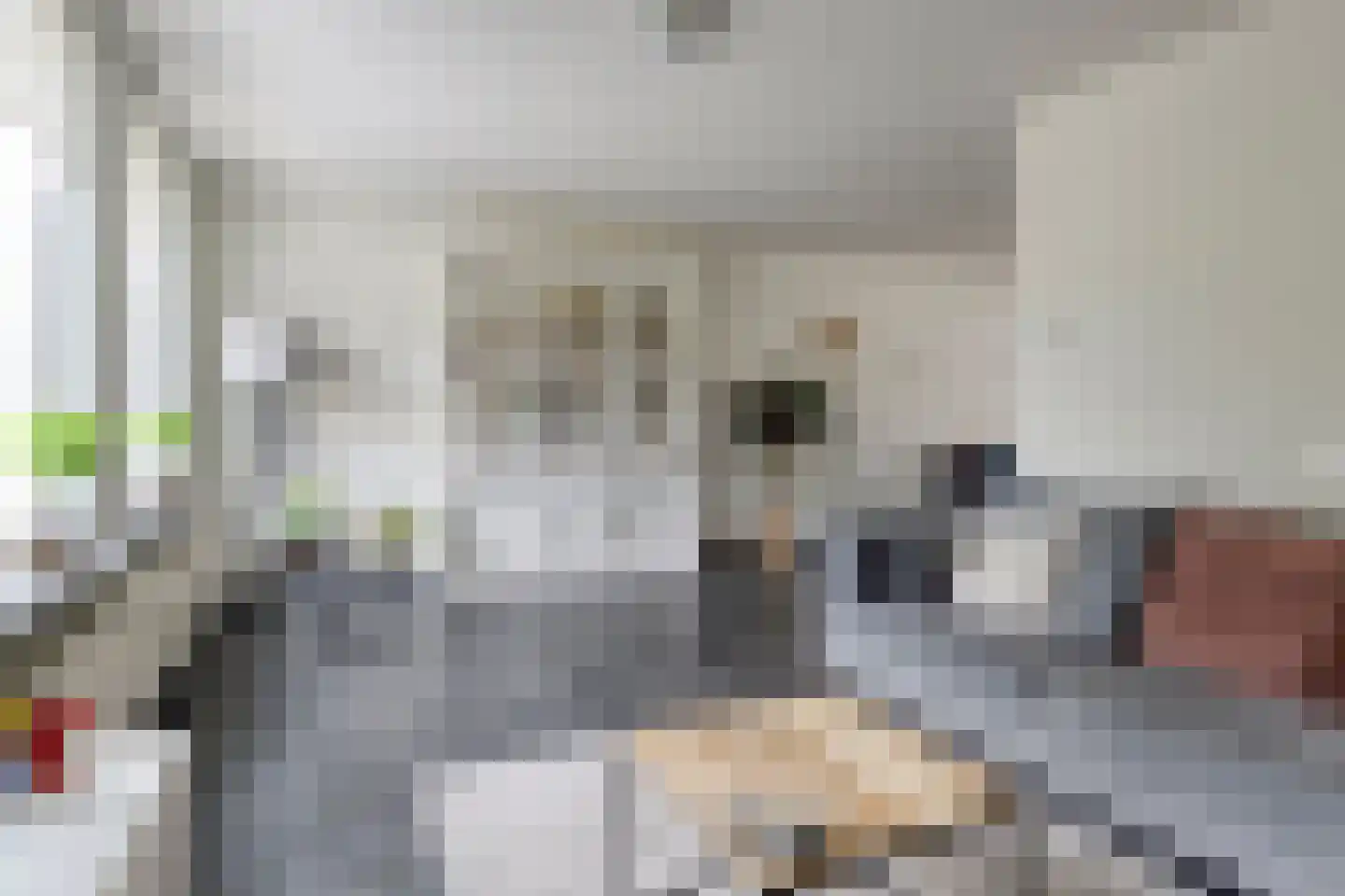 Gangboord 22 Maasbracht thumbnail 5