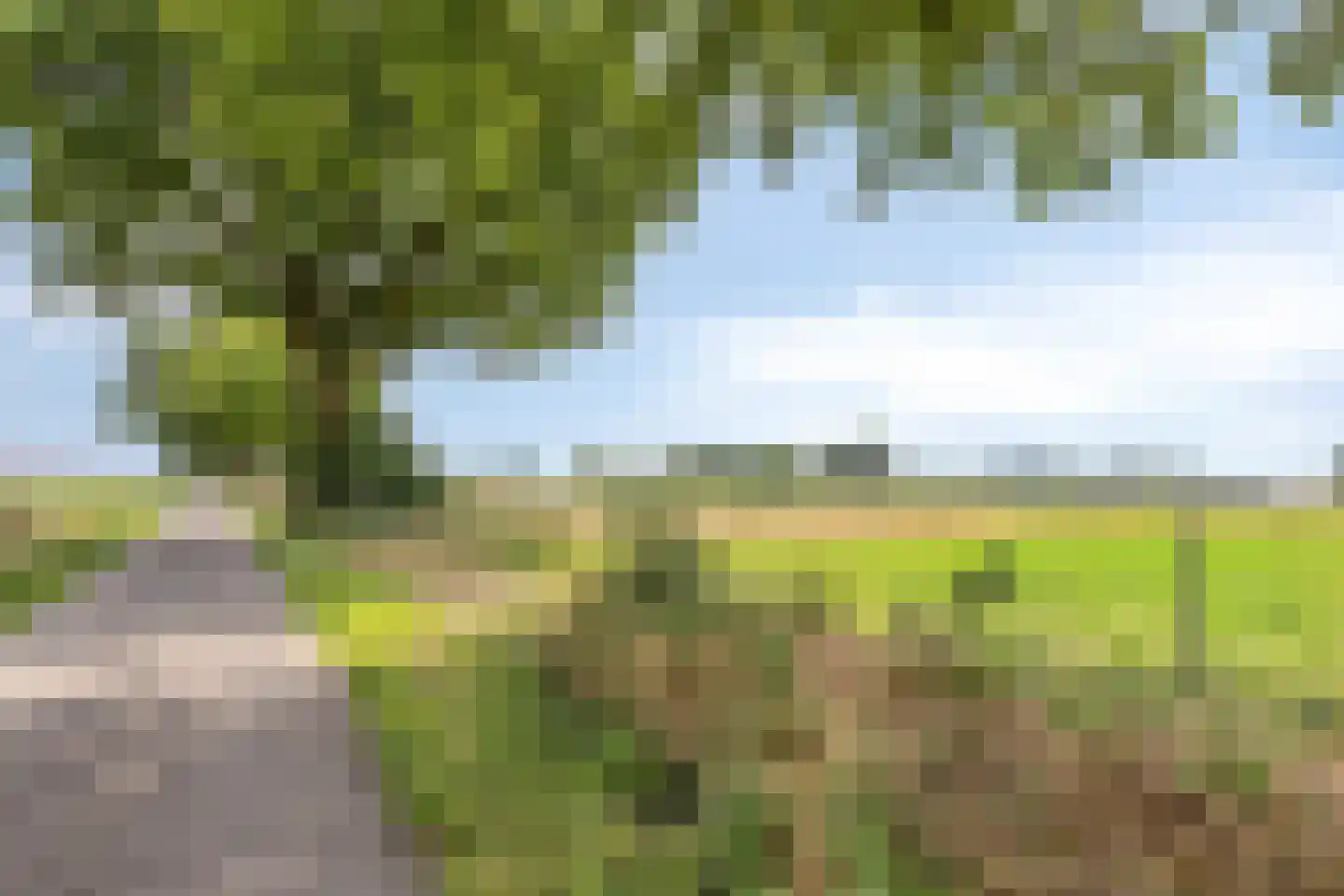 Gangboord 22 Maasbracht thumbnail 53