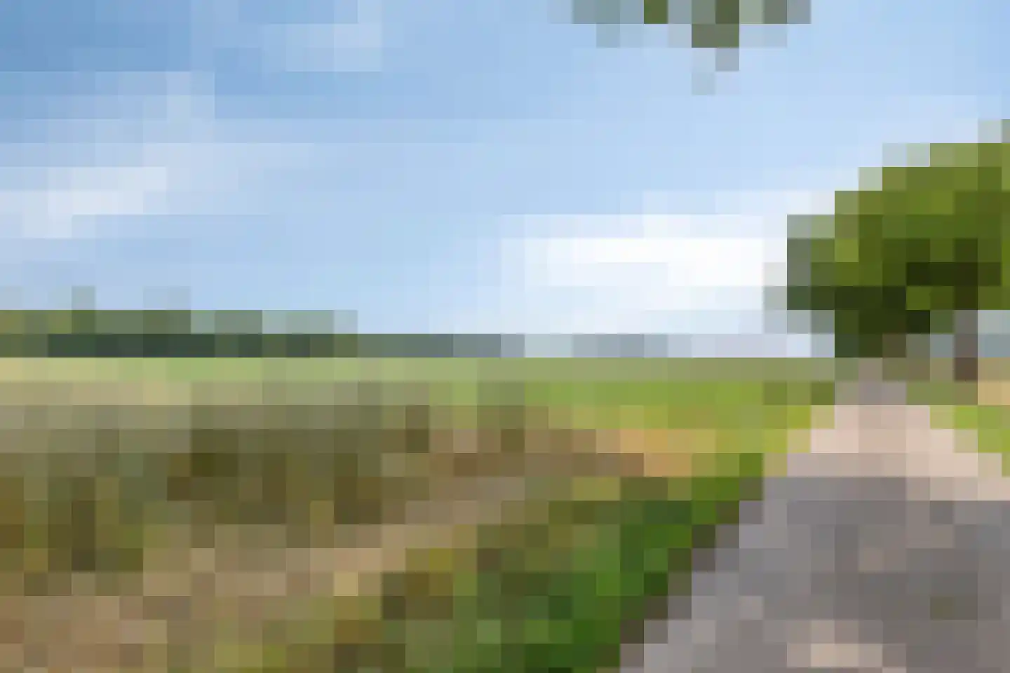 Gangboord 22 Maasbracht thumbnail 54
