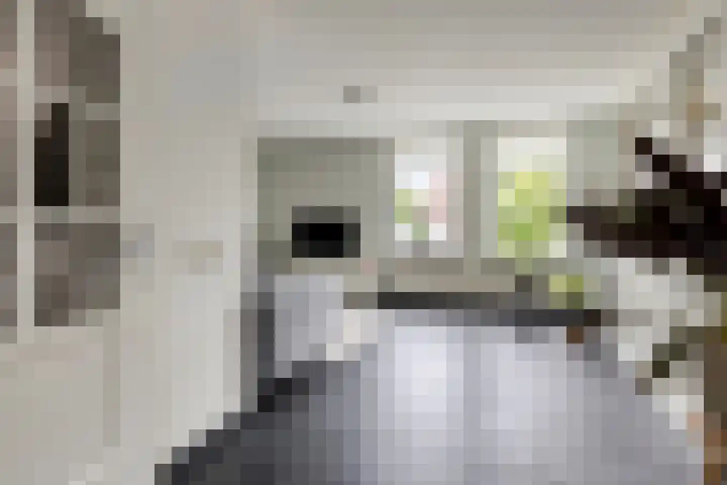 Gangboord 22 Maasbracht thumbnail 7