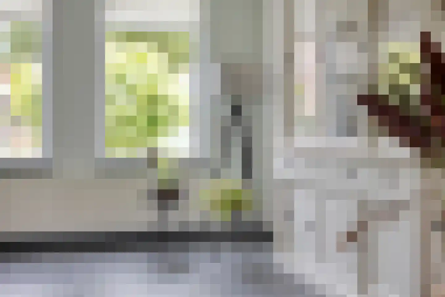 Gangboord 22 Maasbracht thumbnail 8