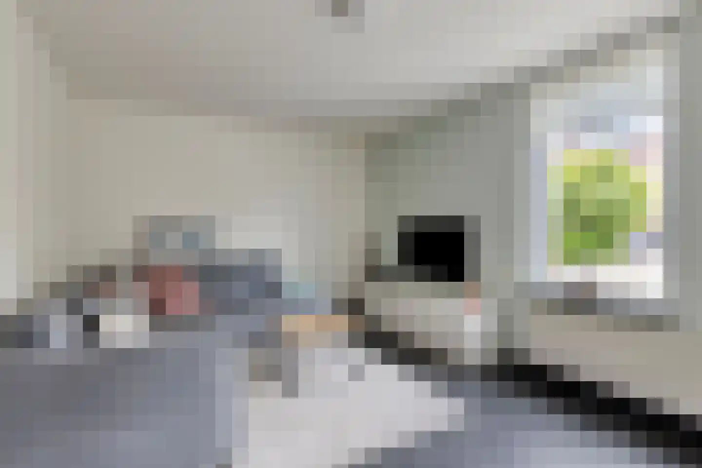 Gangboord 22 Maasbracht thumbnail 9