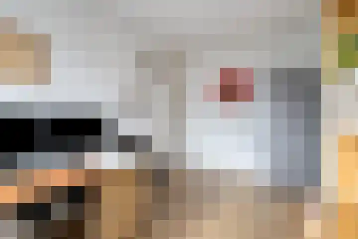Gangboord 24 Amersfoort thumbnail 24