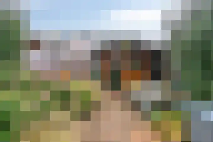 Gangboord 24 Amersfoort thumbnail 36